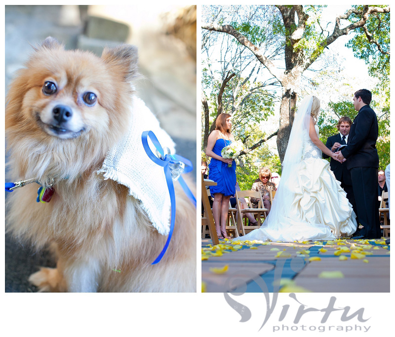 red corral ranch2.jpg dog ring bearer
